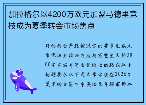 加拉格尔以4200万欧元加盟马德里竞技成为夏季转会市场焦点